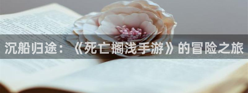 大神28评测