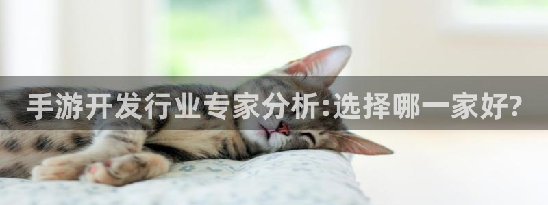28大神预测组合