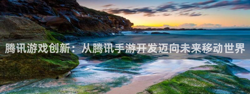 加拿大pc大神28预测