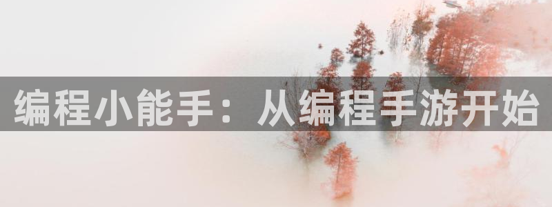 大神28app最新版：编程小能手：从编程手游开始