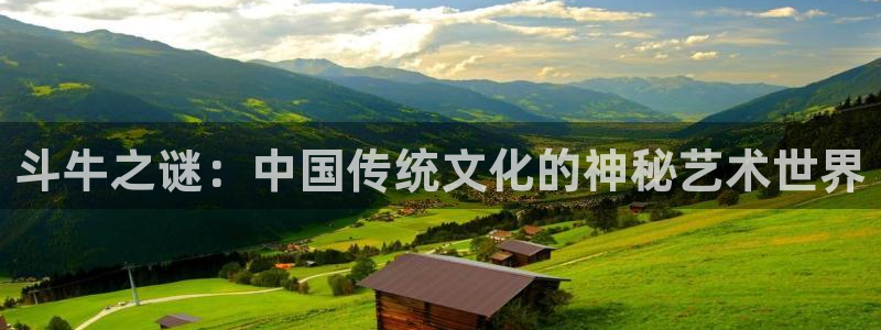 28大神官网：斗牛之谜：中国传统文化的神秘艺术世界
