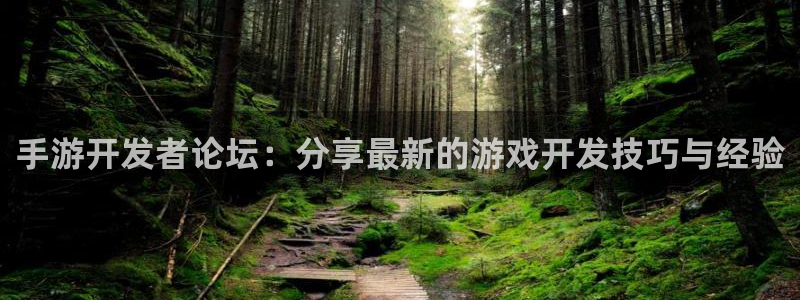 pc28大神苹果下载：手游开发者论坛：分享最新的游戏开发技巧