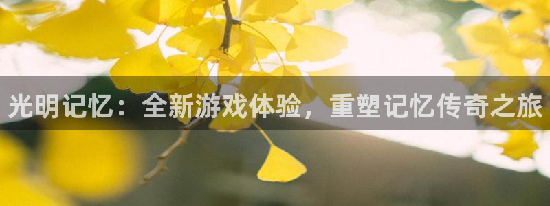 大神pc28在线预测网页：光明记忆：全新游戏体验，重塑记忆传