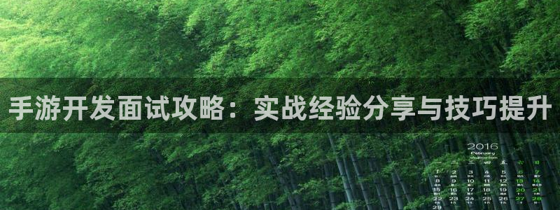 大神28开奖预测软件：手游开发面试攻略：实战经验分享与技巧提