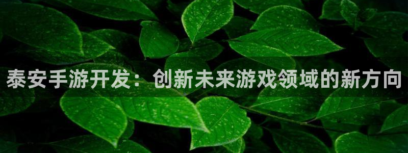 大神28网页开不了怎么回事:泰安手游开发:创新未来游戏领域的