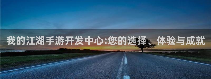 大神28在线:我的江湖手游开发中心:您的选择、体验与成就