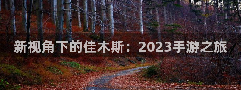 大神pc28在线预测：新视角下的佳木斯：2023手游之旅