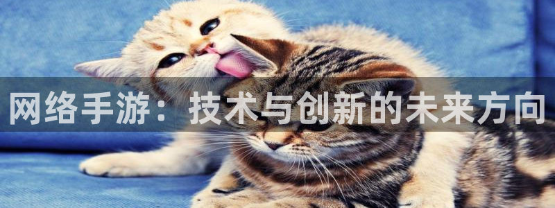 28大神下载不了：网络手游：技术与创新的未来方向