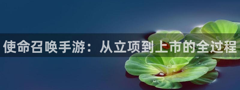 28大神怎么用不了：使命召唤手游：从立项到上市的全过程