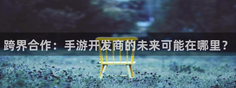 大神28加拿大在线上分