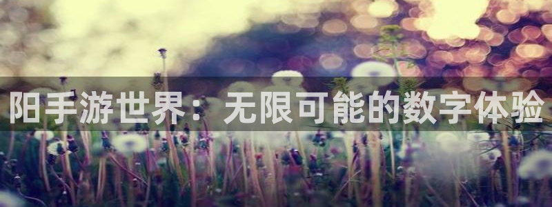 28大神怎么上不去了：阳手游世界：无限可能的数字体验