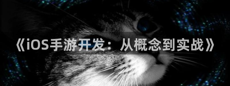 28大神开奖记录：《iOS手游开发：从概念到实战》