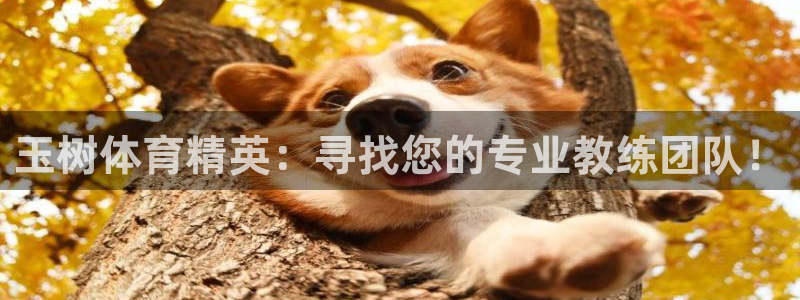下载风速体育