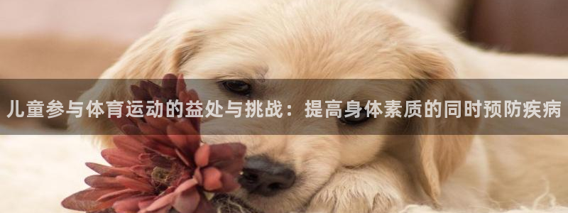 风速体育官网