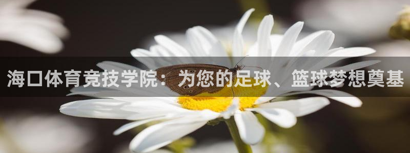 风速体育app：海口体育竞技学院：为您的足球、篮球梦想奠基