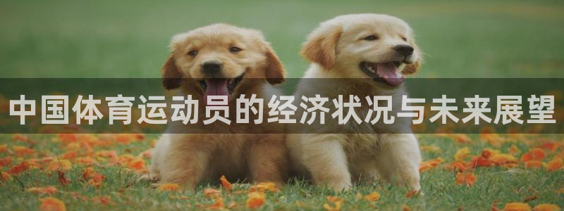 风速体育：中国体育运动员的经济状况与未来展望