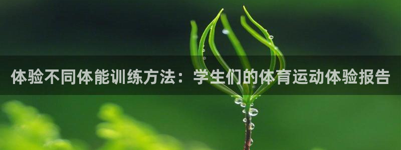风速体育直播：体验不同体能训练方法：学生们的体育运动体验报告
