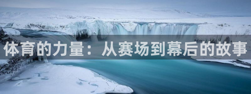 风速体育：体育的力量：从赛场到幕后的故事