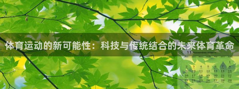 风速体育官网：体育运动的新可能性：科技与传统结合的未来体育革命