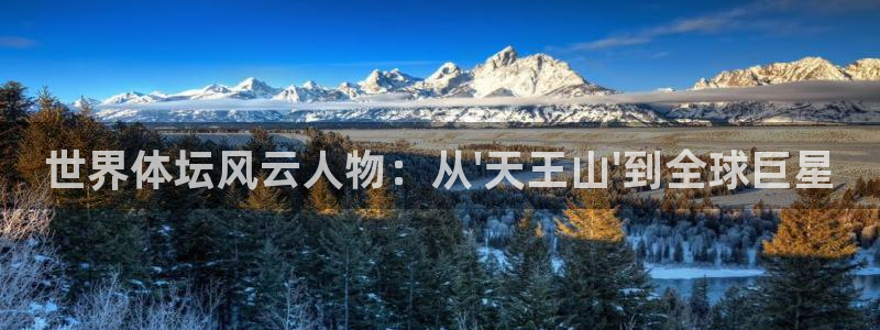 下载风速体育：世界体坛风云人物：从\'天王山\'到全球巨星