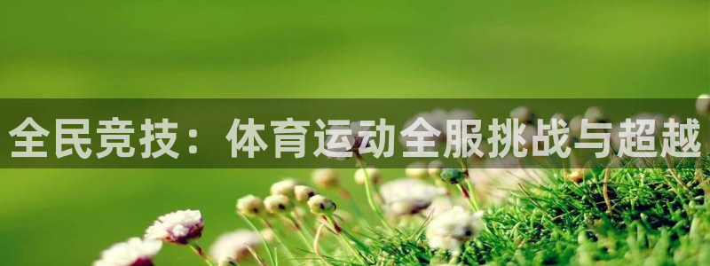 下载风速体育：全民竞技：体育运动全服挑战与超越