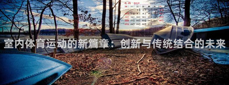 风速体育app：室内体育运动的新篇章：创新与传统结合的未来