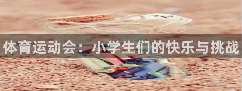 风速体育app官方下载：体育运动会：小学生们的快乐与挑战