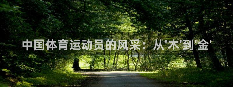 风速体育app下载官网最新版：中国体育运动员的风采：从\'木\'到\'金\'