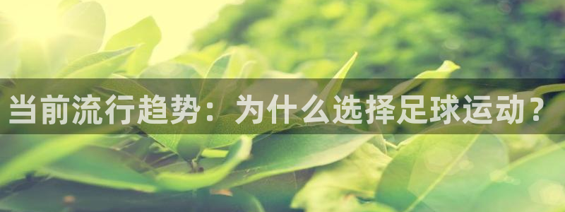 风速体育cba直播：当前流行趋势：为什么选择足球运动？