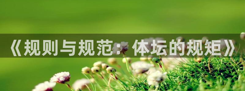 风速体育app下载官网最新版：《规则与规范：体坛的规矩》