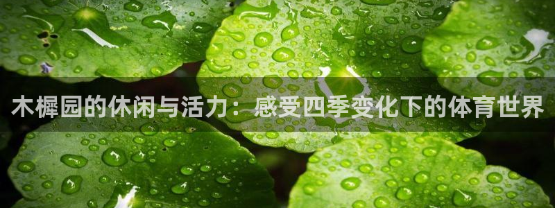 风速体育app官方下载：木樨园的休闲与活力：感受四季变化下的体育世界